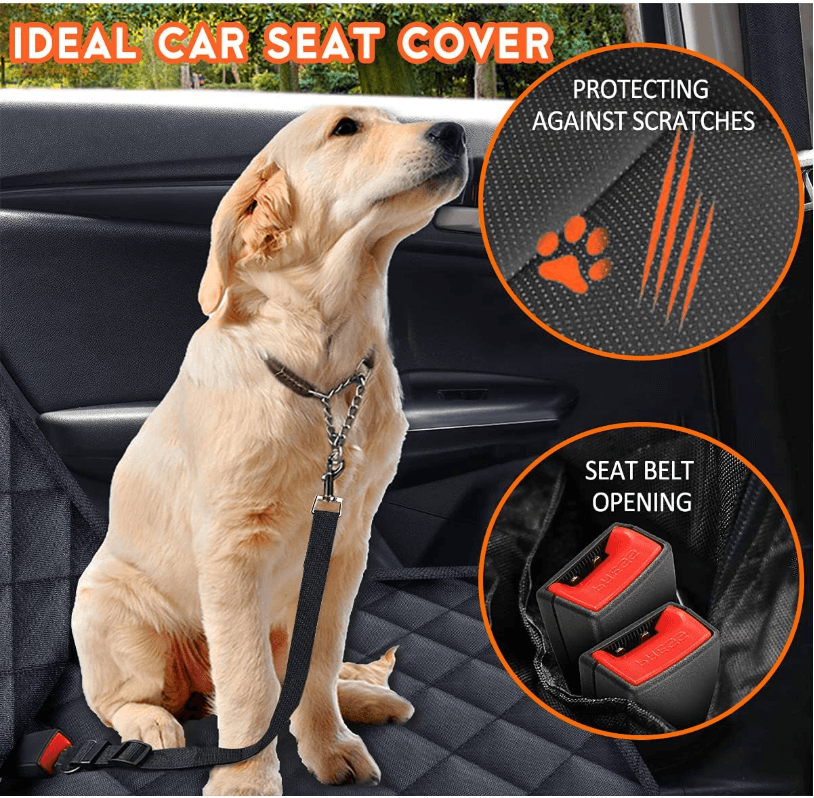 A golden retriever puppy secured in the back seat with the cover installed